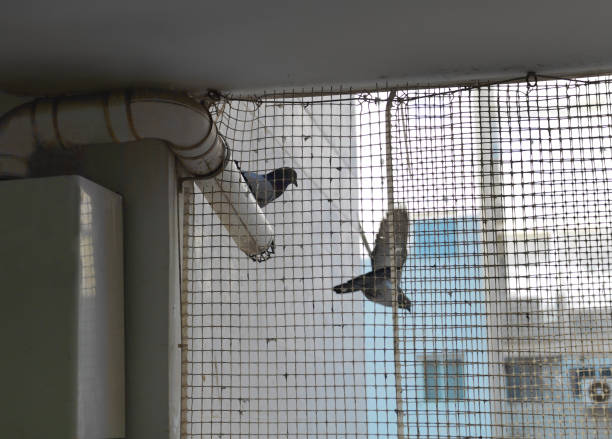 safety nets|balcony safety nets in chennai